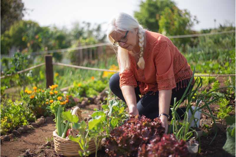 woman working in a vegetable garden