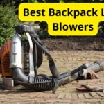 10 Best Backpack Leaf Blowers of 2021 [Reviews]