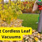 5 Best Cordless Leaf Vacuums of 2023 [Reviews]