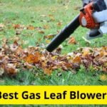 10 Best Gas Leaf Blowers of 2021 [Reviews]