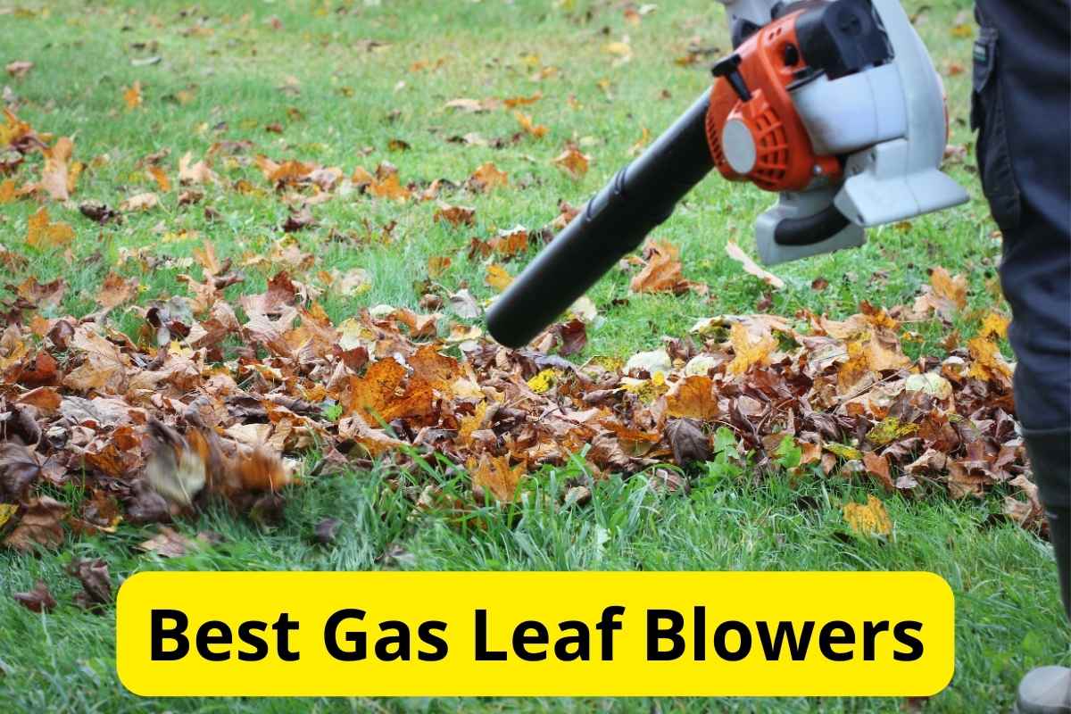 worker cleaning leaves with a blower with text overlay on it