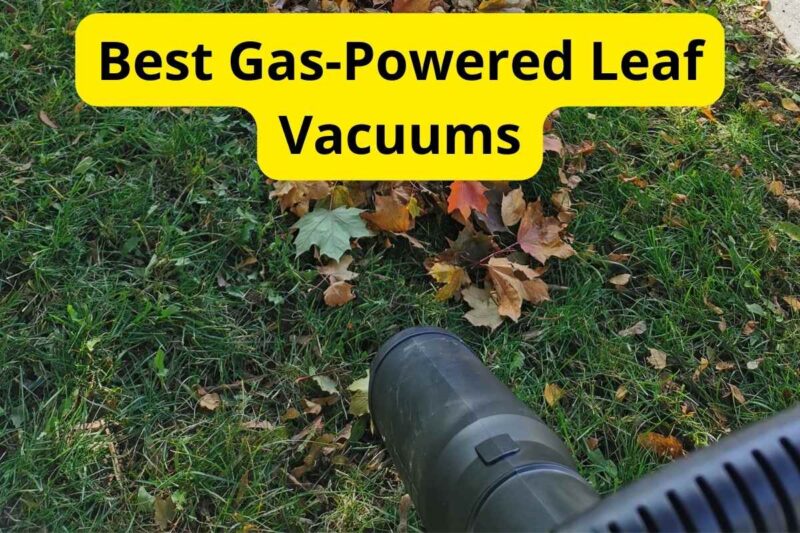 5 Best GasPowered Leaf Vacuums of 2024 [Reviews]
