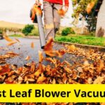 10 Best Leaf Blower Vacuums of 2021 [Reviews]