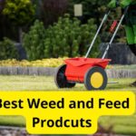 7 Best Weed and Feed Products of 2024 [Reviews]