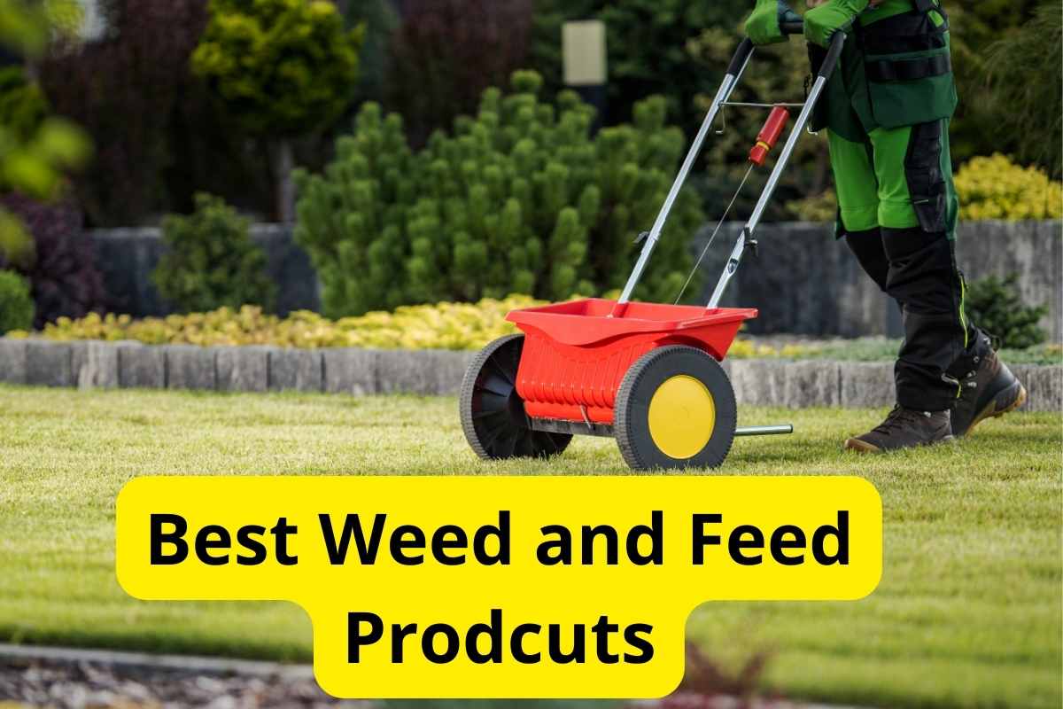 green lawn seeding spreader with text overlay on it