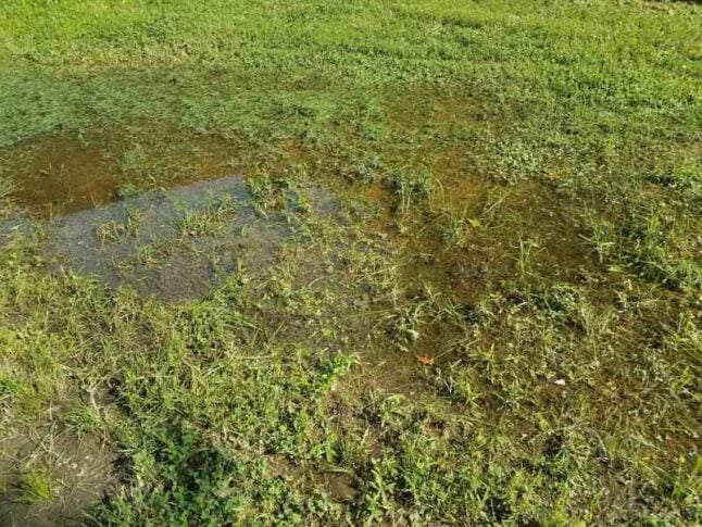 Flooded lawn