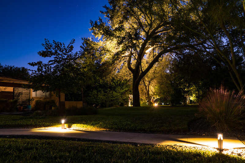 Tree lit up by landscape lighting