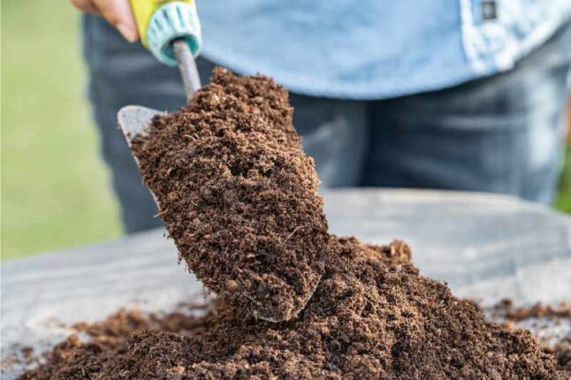 person adding organic matter to soil