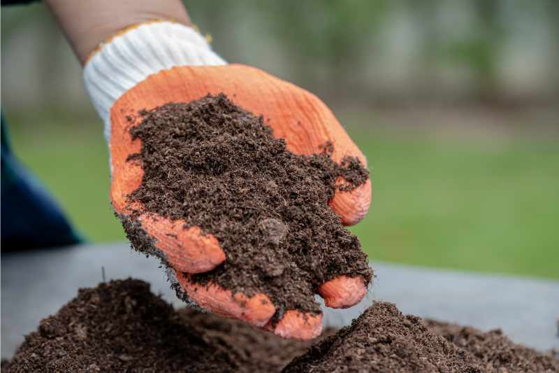 person adding organic matter to soil 