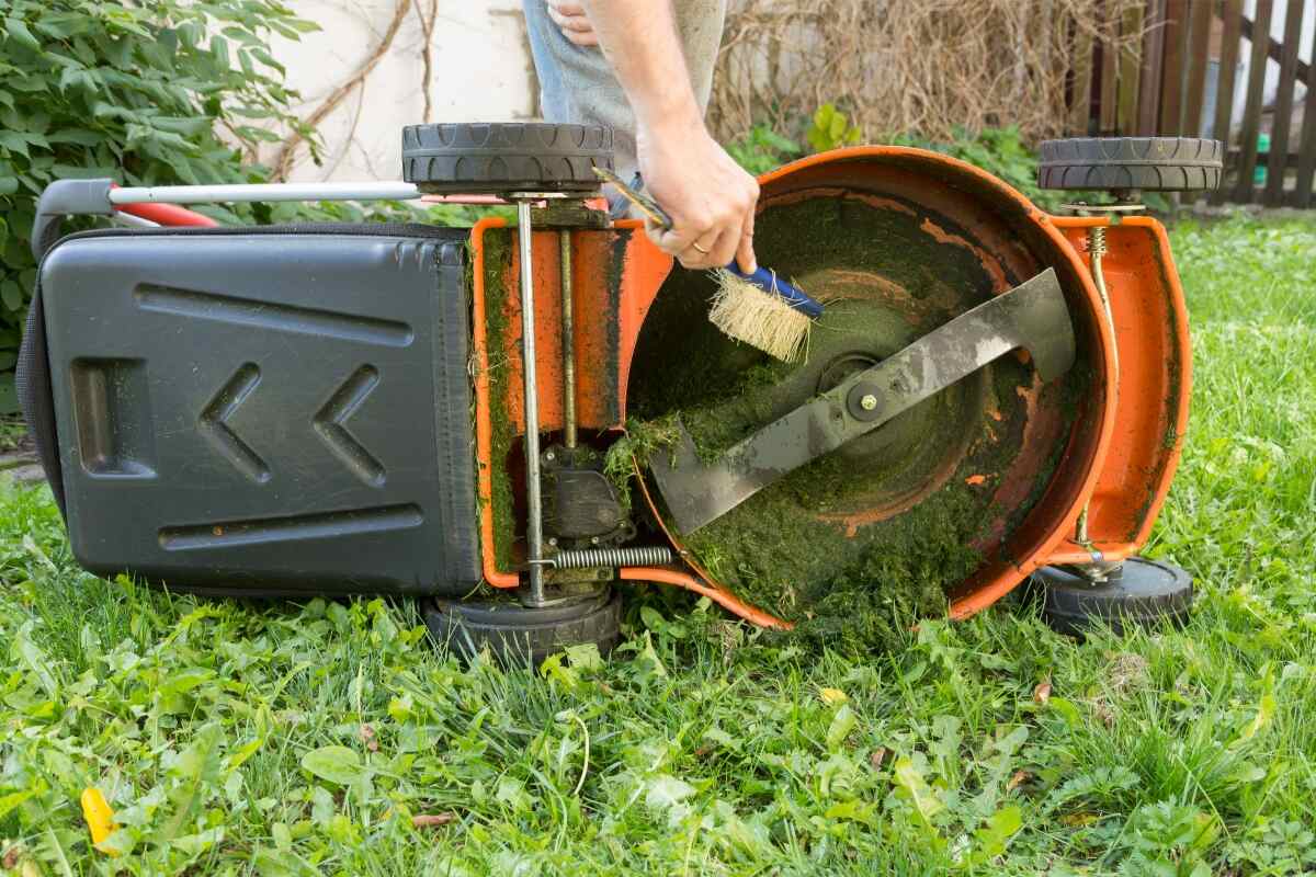 Cleaning the underside of a lawn mower using a stiff brush