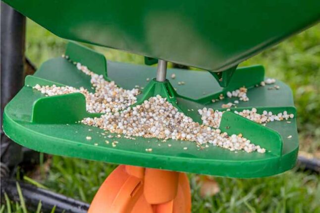 closeup of lawn fertilizer with granule weed fertilizer