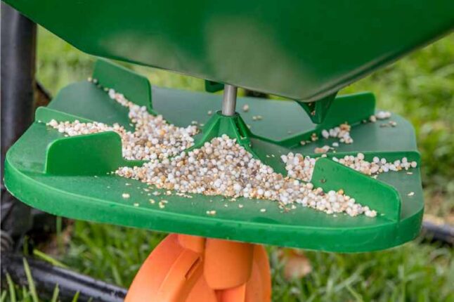 When and How to Use Pre Emergent Herbicides to Kill Your Lawn s Weeds