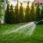 How Often Should I Water My Lawn?
