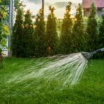 How Often Should I Water My Lawn?