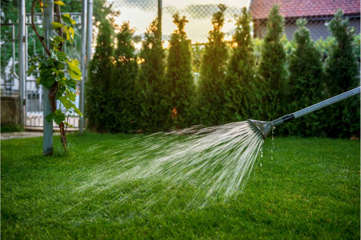 watering lawn in a garden