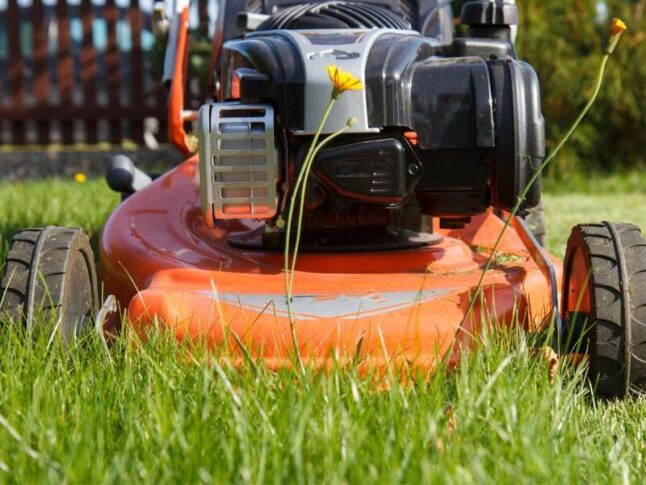 Beautiful view of Lawn Mower Oil Change Services Near Me