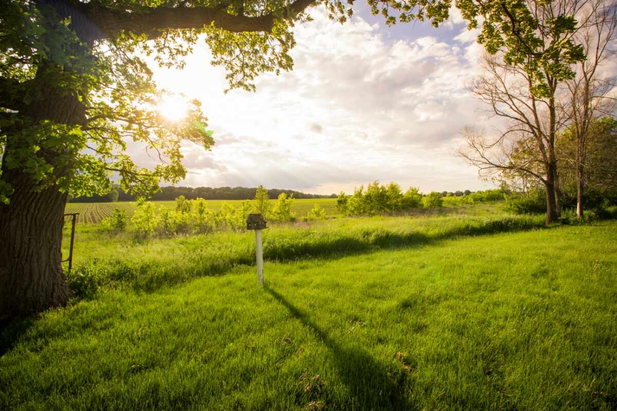 summer in the Midwest