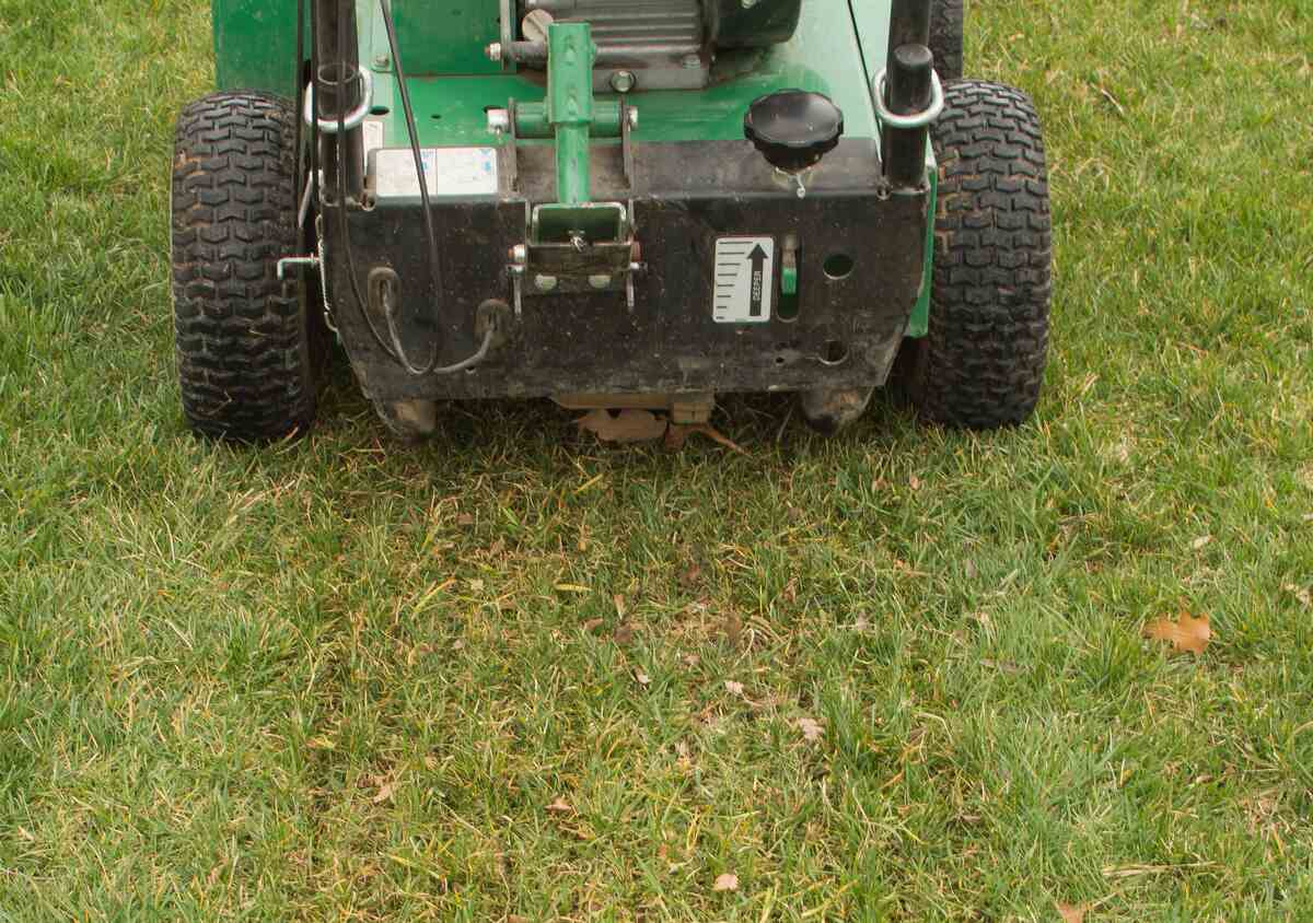 Slit seeding fescue lawn turf with power slice/slit seeder