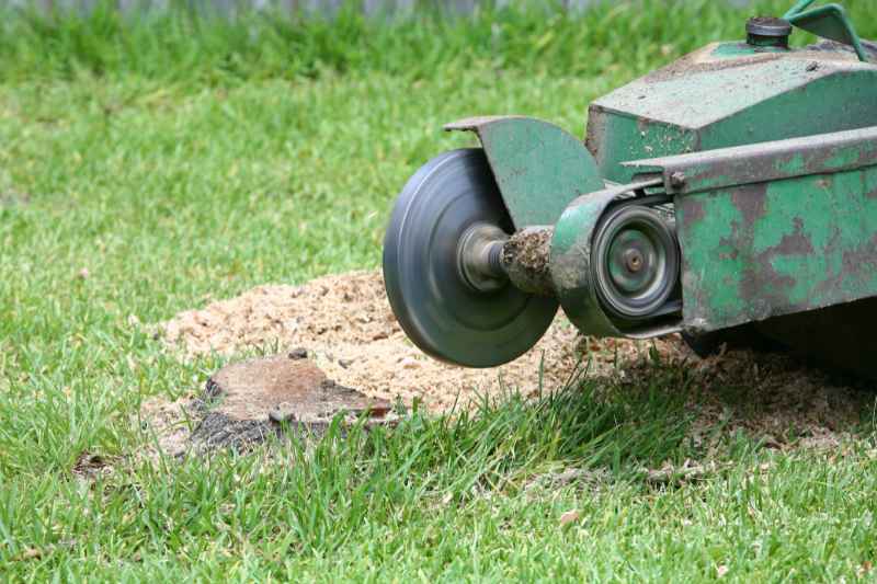 stump grinder machine grinding a stump