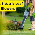 10 Best Electric Leaf Blowers of 2023 [Reviews]