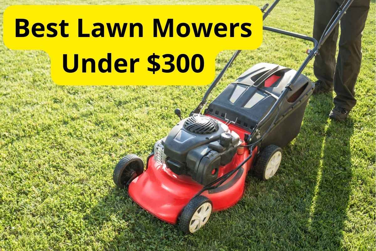 lawn mower cutting green grass with text overlay on it