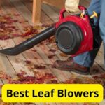 9 Best Leaf Blowers of 2025 [Reviews]