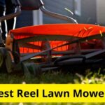 8 Best Reel Lawn Mowers of 2023