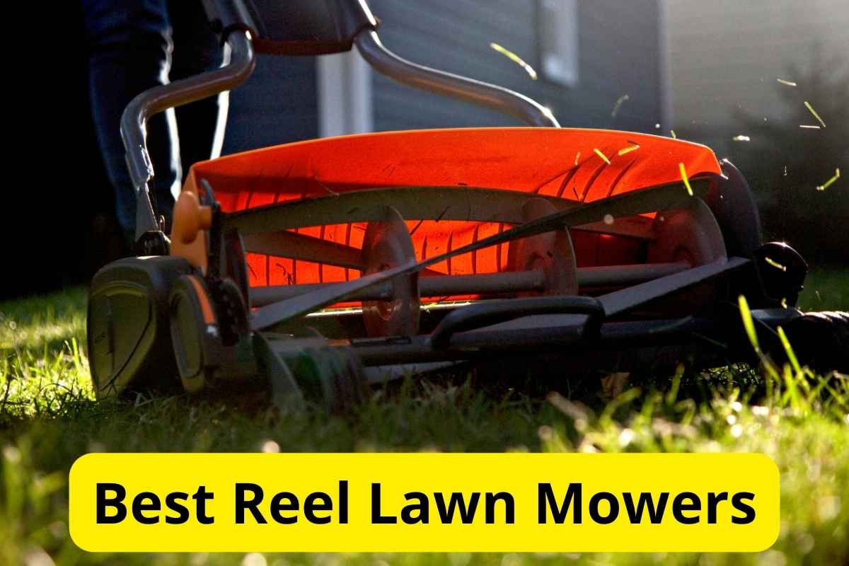 Reel Lawn Mower in a yard with text overlay on it