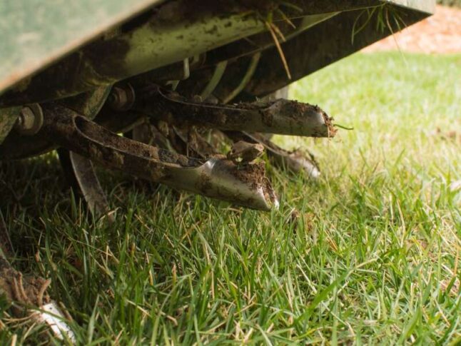 core aerator of a tall fescue lawn