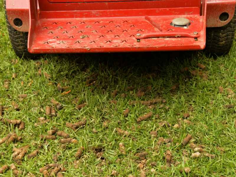 A core aerator leaving behind soil plugs