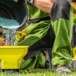 When to Fertilize Your Indiana Lawn