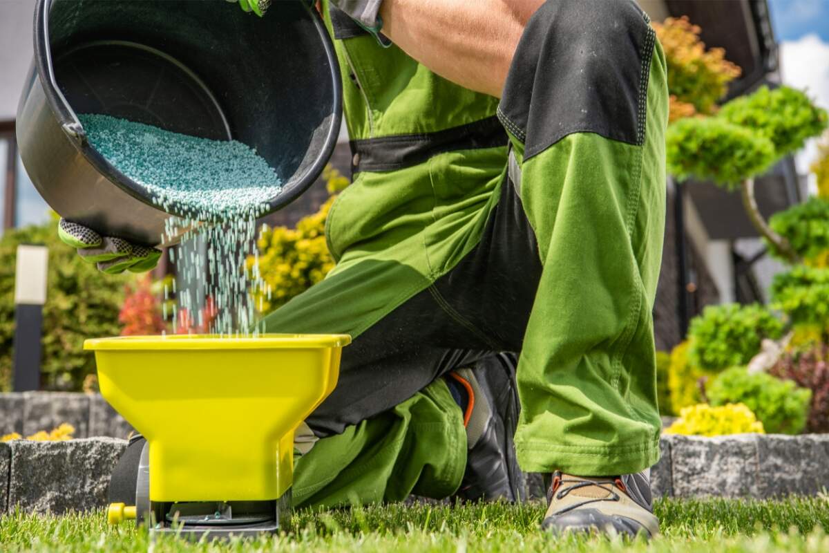 landscape worker filling a spreader with fertilizer