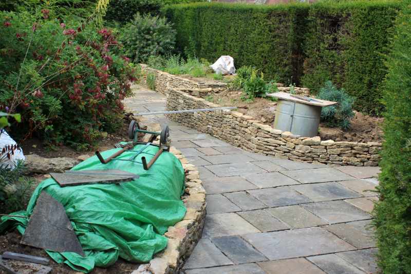 garden with raised beds