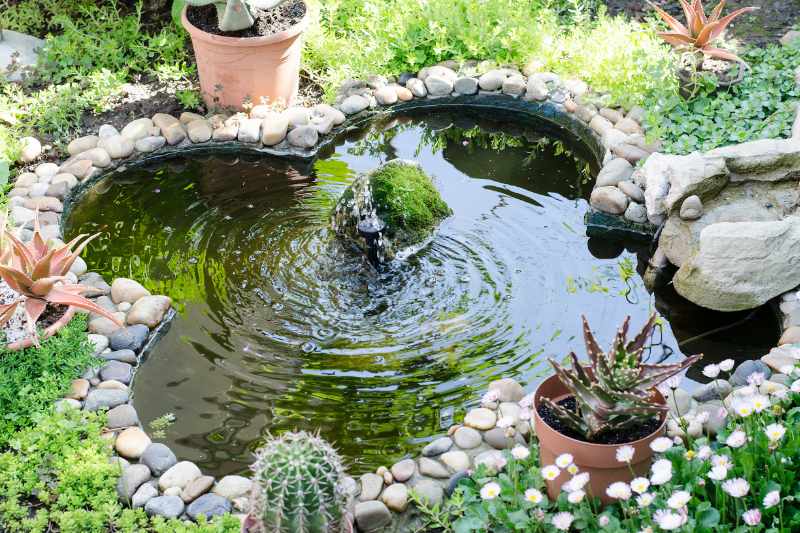 garden pond with a fountain
