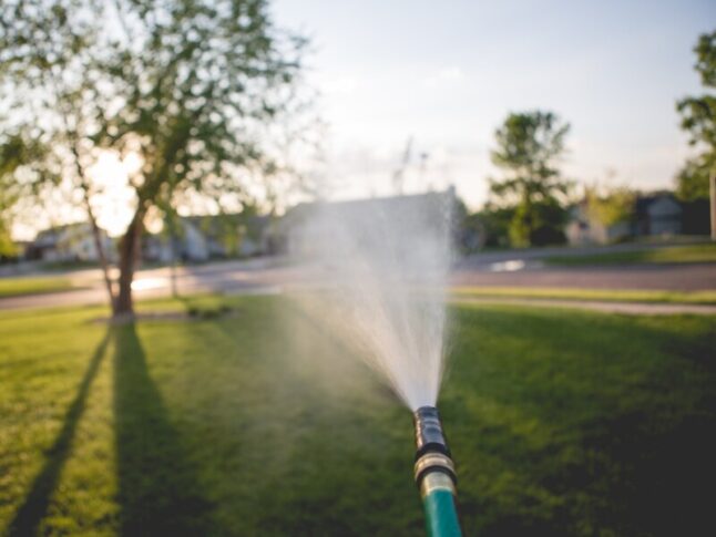 hose spraying water on lawn