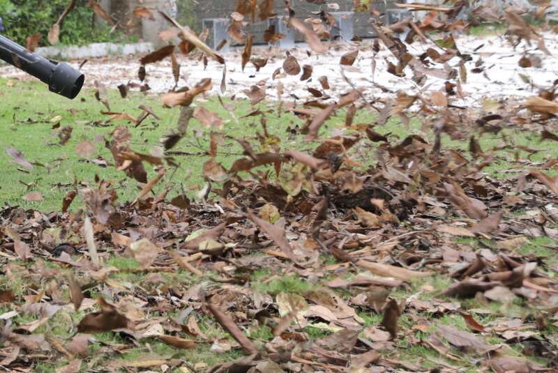 blowing leaves in the lawn