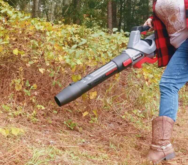 using blower to remove the leaves