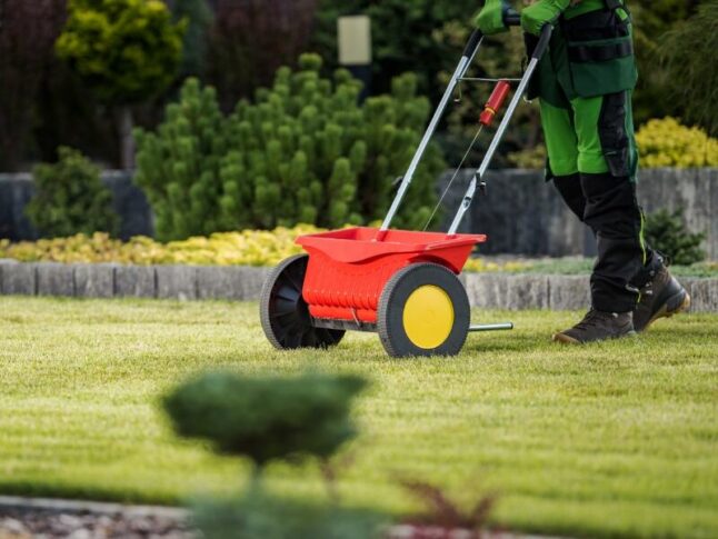 grass seed lawn spreader