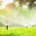 How Long to Water Your Lawn in Summer