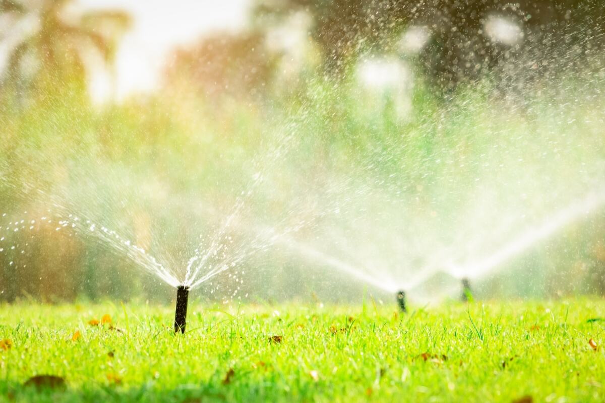 automatic sprinklers watering a lawn