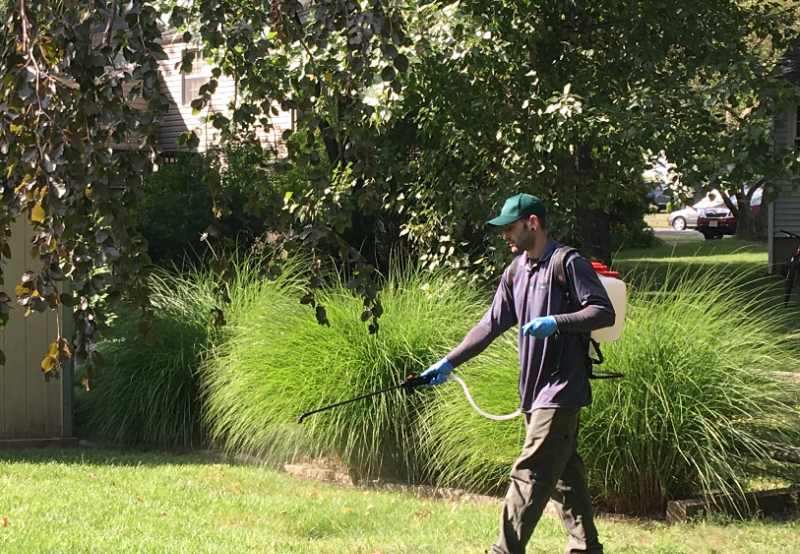 Worker sprays tick treatment across grassy yard edge near shrubs and trees, targeting outdoor areas where ticks gather.