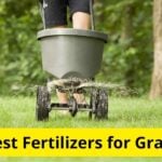 7 Best Fertilizers for Grass in 2024 [Reviews]