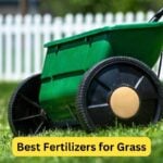 7 Best Fertilizers for Grass in 2023 [Reviews]