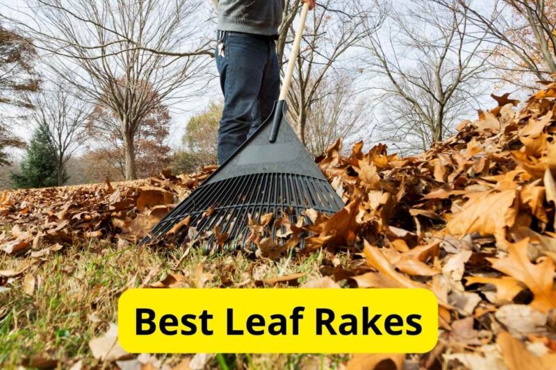 7 Best Leaf Rakes of 2026 [Reviews]
