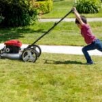 15 Spring Lawn Care Tips