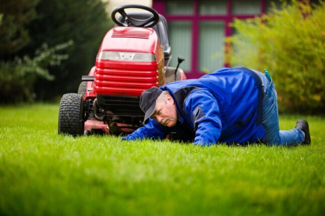 Landscaper inspecting lawn