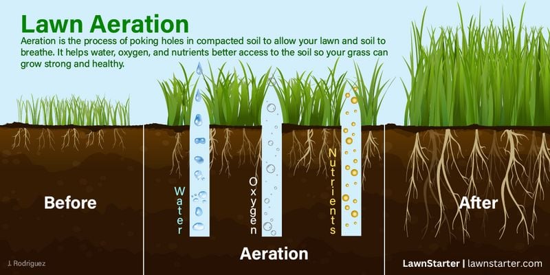 graphic showing aeration of grass