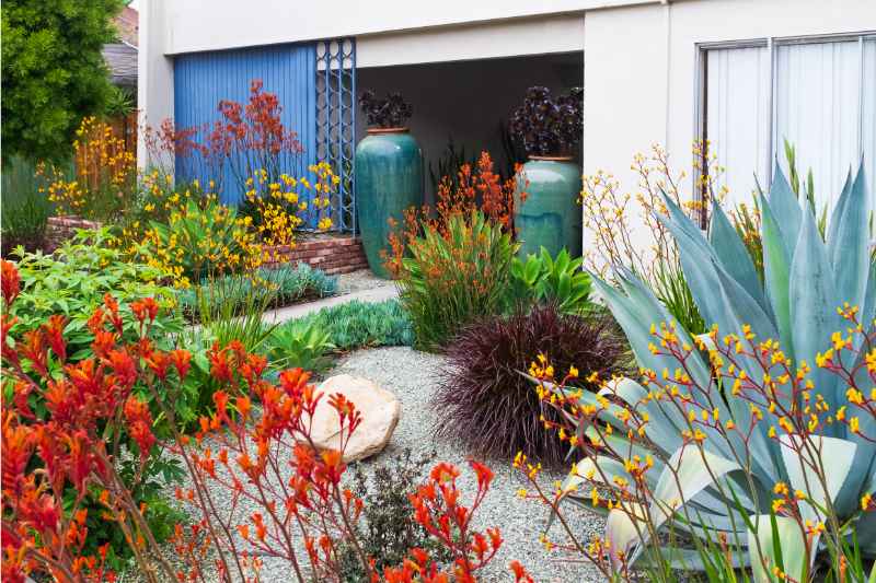 apartment garden with rocks and plants