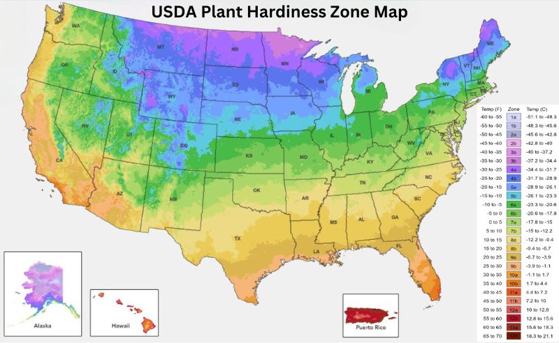USDA Hardiness Zones map