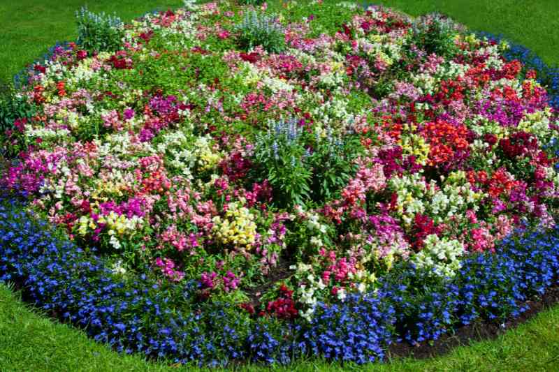 flower bed in a lawn